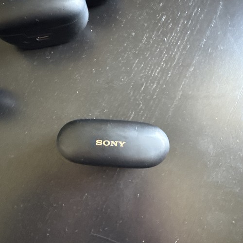 Sony earbuds charging - earbuds, case